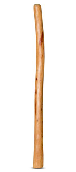 Medium Size Natural Finish Didgeridoo (TW555)